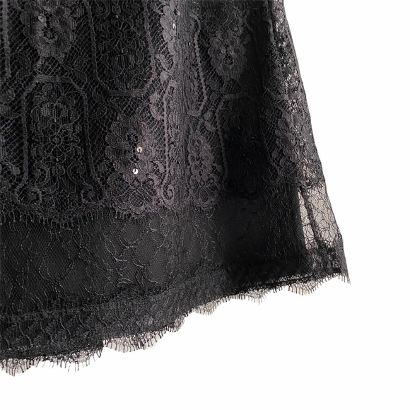 Stunning Ann Taylor Skirt, lace/sequin, Like new - Picture 5 of 15